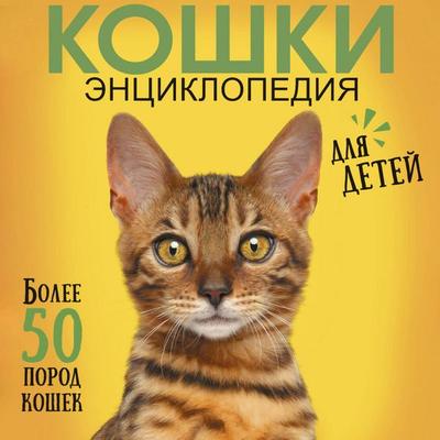 Koshki - Dmitry Smirnov, Audio, 9785171875794