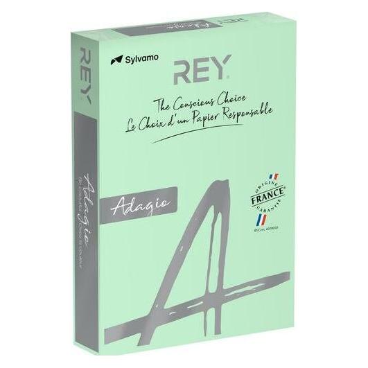Rey Farbiges Papier RYADA160X418 Pastellgrün 160 g/qm (A4, 250 Blätter, 160 g/m²) (RYADA160X418)