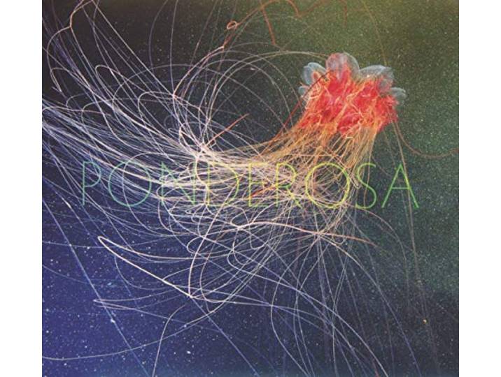 Ponderosa - Pool Party