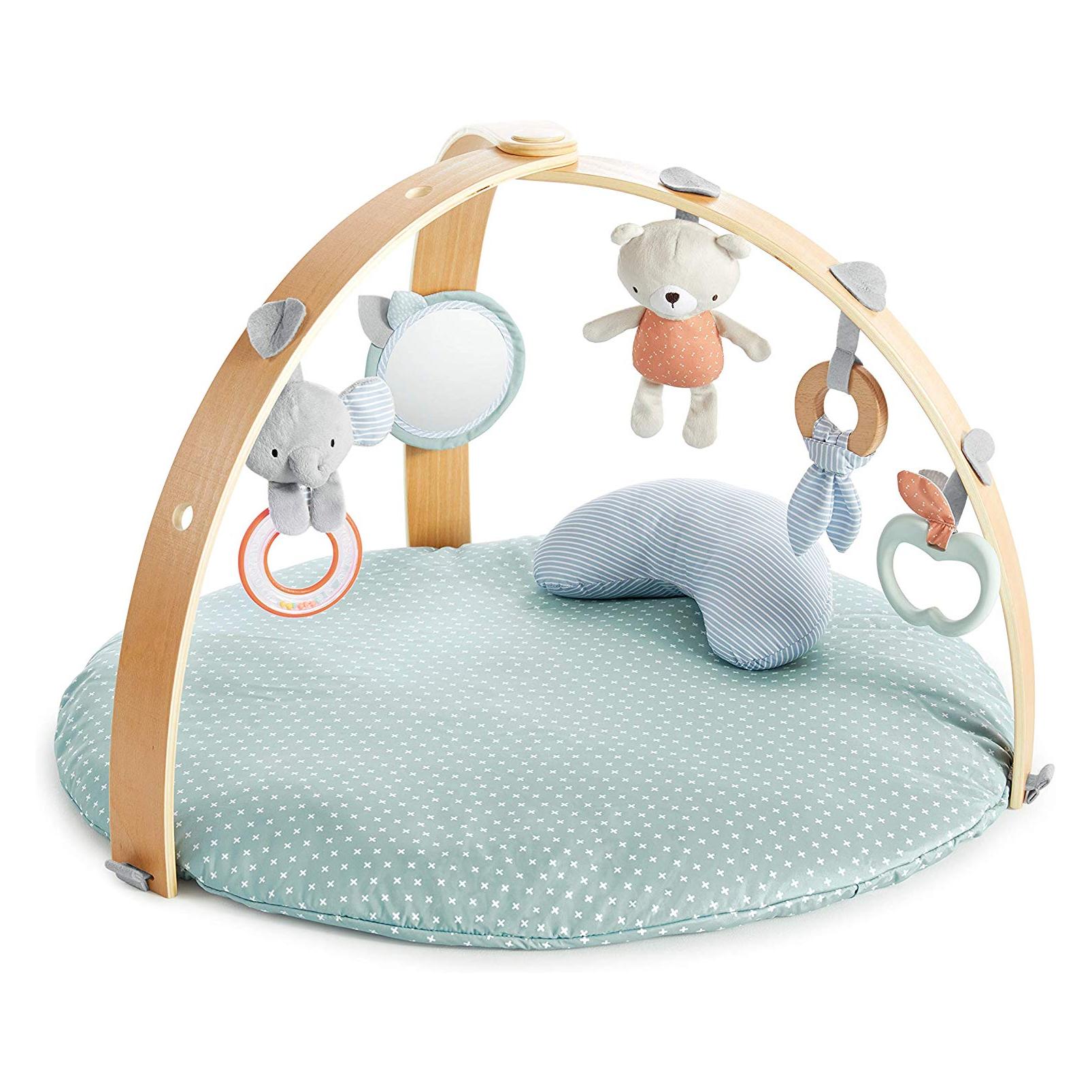 Ingenuity Spieldecke mit Spielbogen (12126)