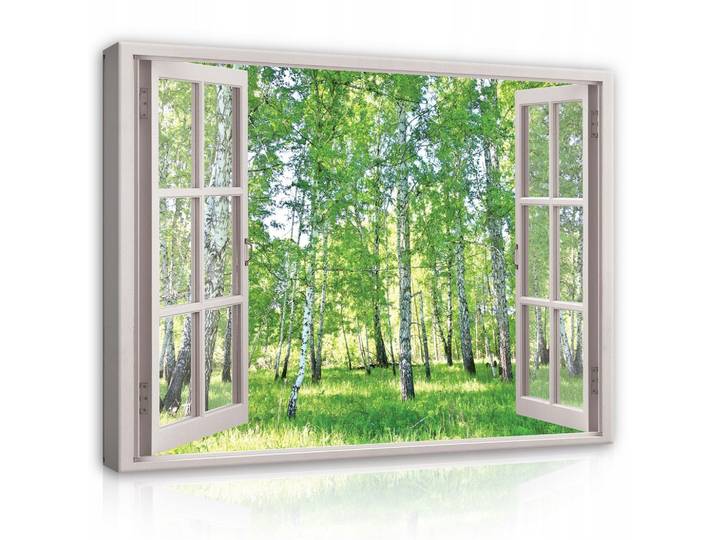 BILDER auf Leinwand Wald Natur Modern 80x60