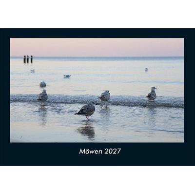 Möwen 2027 Fotokalender DIN A4