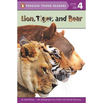 Lion, Tiger, and Bear, Taschenbuch von Kate Ritchey, Random House N.Y., 978-0-448-48336-8