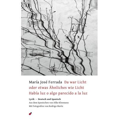 Da war Licht oder etwas Ähnliches wie Licht / Había luz o algo parecido a la luz, Taschenbuch von María José Ferrada, Hagebutte-Verlag,
