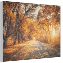 AKUSTIKBILD Wald - Herbst - Bäume - Waldweg - Natur Gemälde 80x60 cm