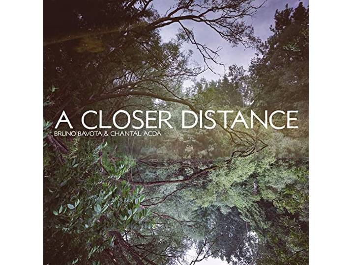 A Closer Distance (Transparent Purple)
