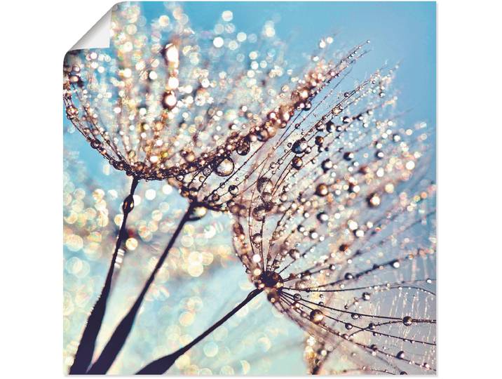 Poster ARTLAND Pusteblume Tröpfchenfänger , blau (farbe bild(er): blau), B:30cm H:30cm, Bilder, Poster, ohne Rahmen