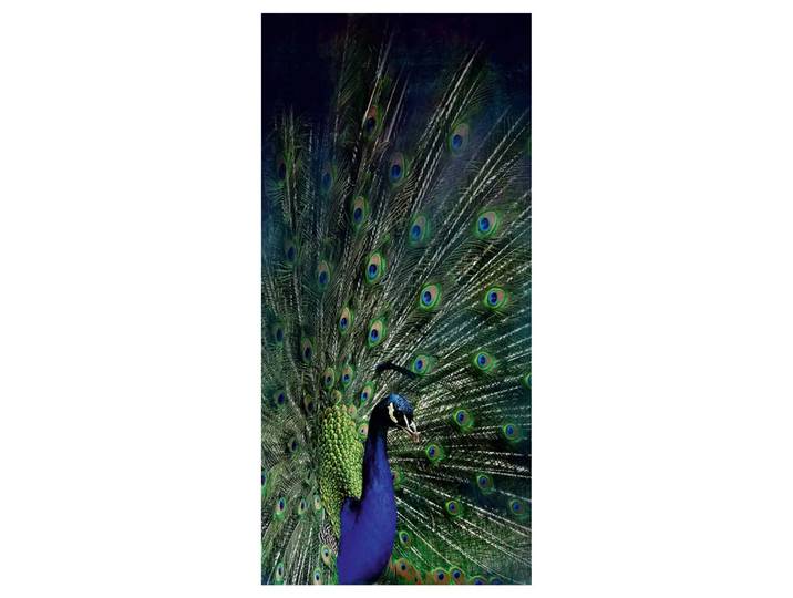 Digitaldruck auf Glas Majestätischer Pfau image LAND