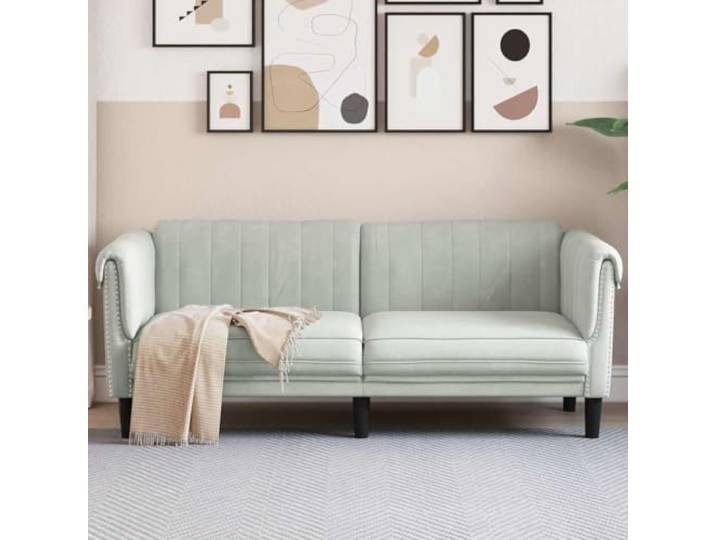 HEFZGDB Helles Graues Samt 2-Sitzer Sofa Modernes Design mit Weichem Stoff und Stabilen Stützbeinen für Wohnzimmer Komfortables Sitzgefühl durch Dicke Polsterung Elegante Couch