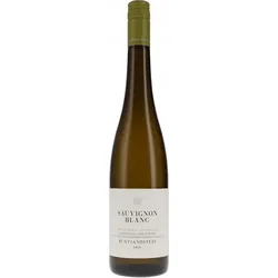 Sauvignon Blanc, Buntsandstein Michael Andres 2025 BIO