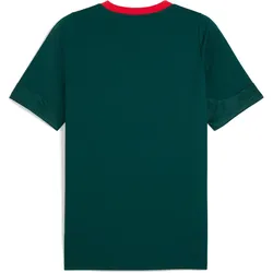 Puma, Unisex, Fussballtrikot, Milan AC Trainingsshirt (XL), Grün