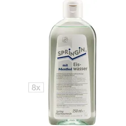 2L Spring Eiswasser mit Menthol