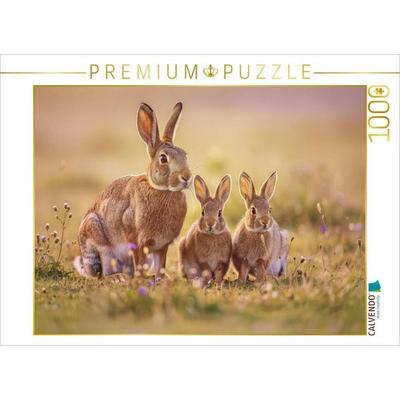 CALVENDO Puzzle Zarte Farben, sanfte Formen - Pastellhasen. | 1000 Teile Lege-Größe 64x48cm Foto-Puzzle für glückliche Stunden, von , Calvendo Puzzle