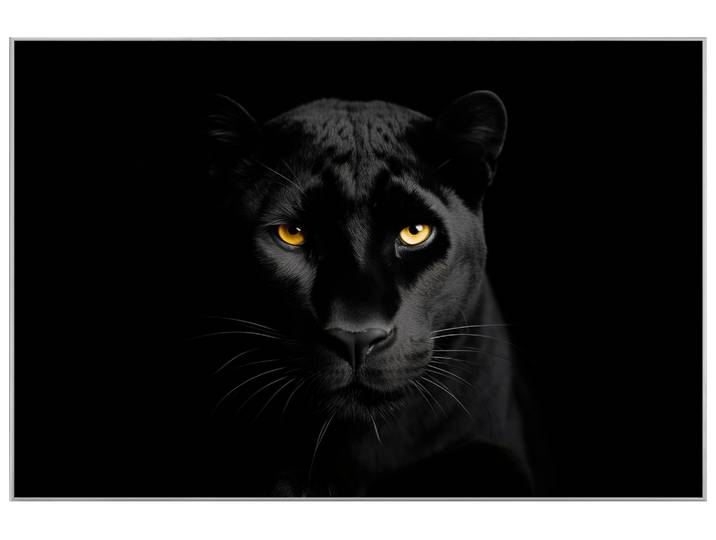 Bild mit Rahmen Black Panther image LAND