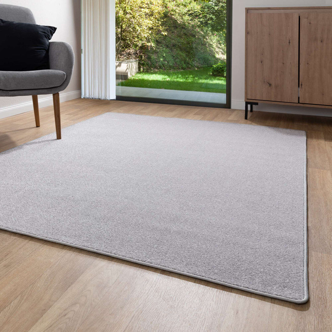 Latitude Run Belleview Area Rug Rectangular 140 x 200cm