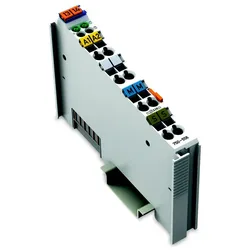 WAGO GmbH & Co. KG Analog Ausgangsklemme 750-556