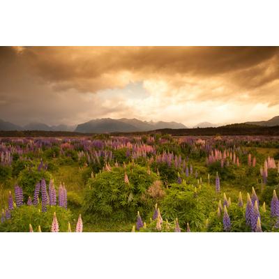 Fototapete PAPERMOON "GEBIRGE-FLUSS SEE BERGE WALD HIMMEL BACH WIESE BLUMEN", bunt, B:5m L:2,8m, Vlies, Tapeten