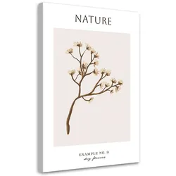 WANDBILD trockene blume natur