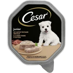 Cesar Junior Truthahn & Kalb Pastete 14x150 g