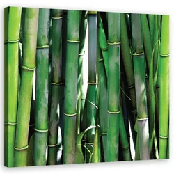 WANDBILD grüner bambus