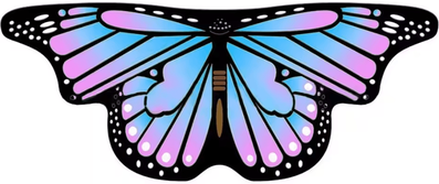 Inspire Curations Kids Butterfly Wings Cape Colorful Fairy Shawl Fancy Dress Costume 8