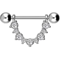 Chirurgenstahl Nippelpiercing KRISTALLE
