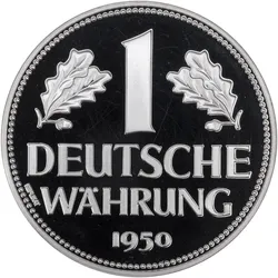 Kaiser Fototechnik KR90 (Ringlicht), Dauerlicht, Weiss