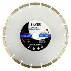 Silver, Sägeblatt, TARCZA DIAMENTOWA 350 x 10 x 25,4/22,2mm SEGMENTOWA