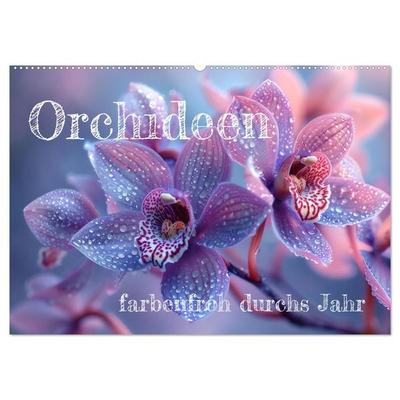 Orchideen - farbenfroh durchs Jahr (Wandkalender 2026 DIN A2 quer), CALVENDO Monatskalender