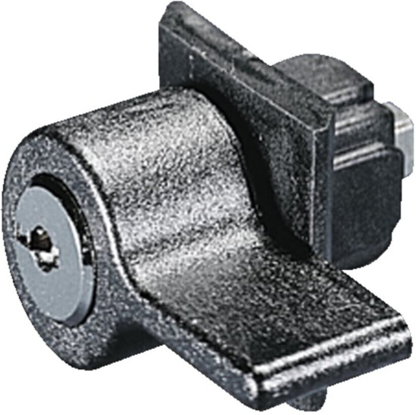 Rittal Verschlußeinsatz Ergoform Sicherheit SZ 2467.000 (2467000)