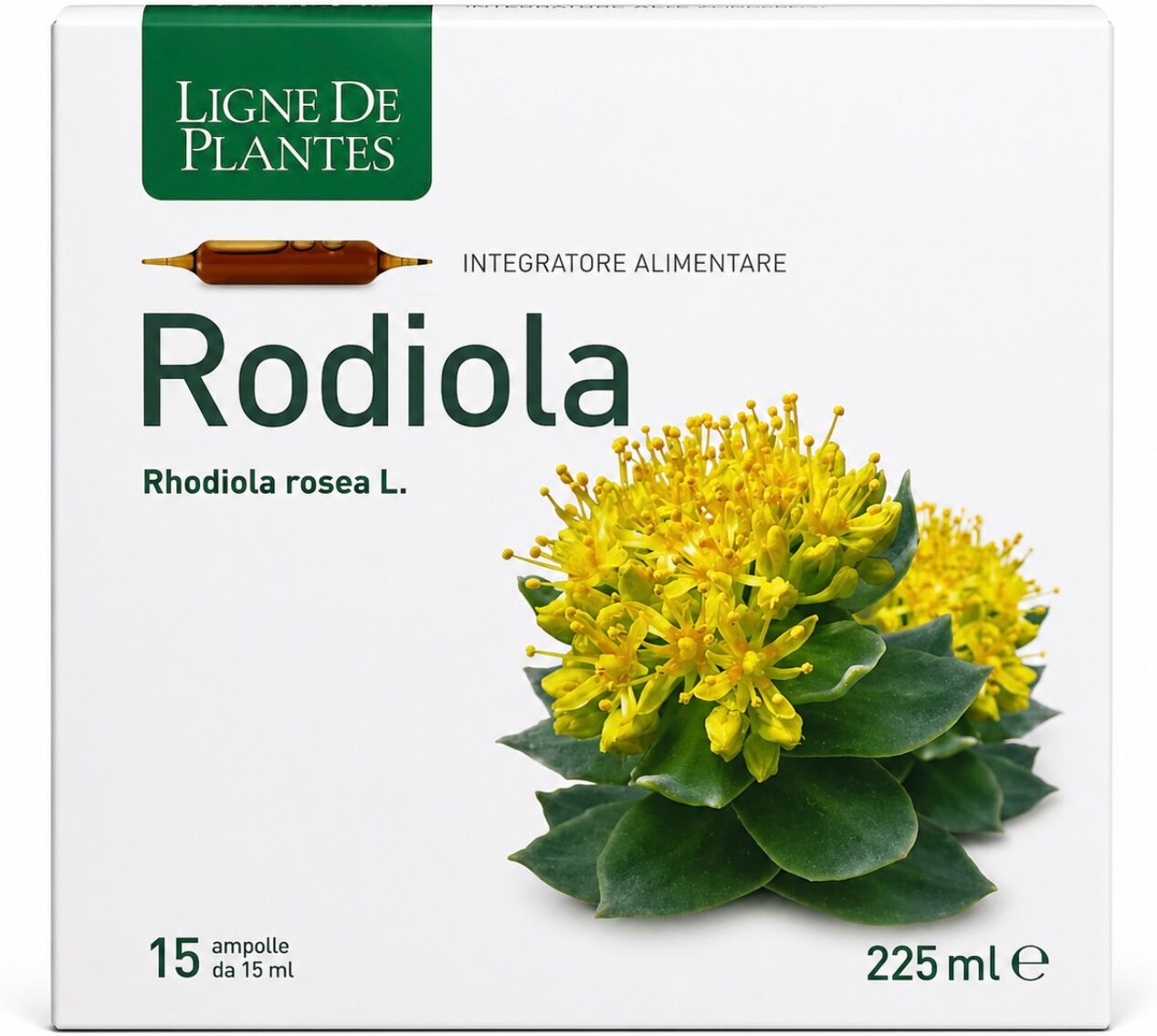 NATURA SERVICE Srl LIGNE DE PLANTES Rodiola, 15 ampolle