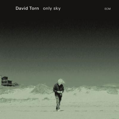 Only Sky - David Torn, CD
