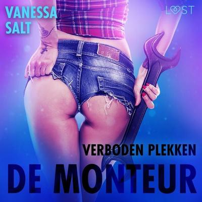 Verboden plekken: De monteur - erotisch verhaal - Vanessa Salt, Audio, 9788726758825