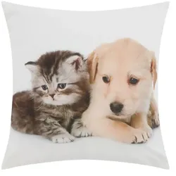 como Kissen  Hund und Katze , Maße (cm): B: 40
