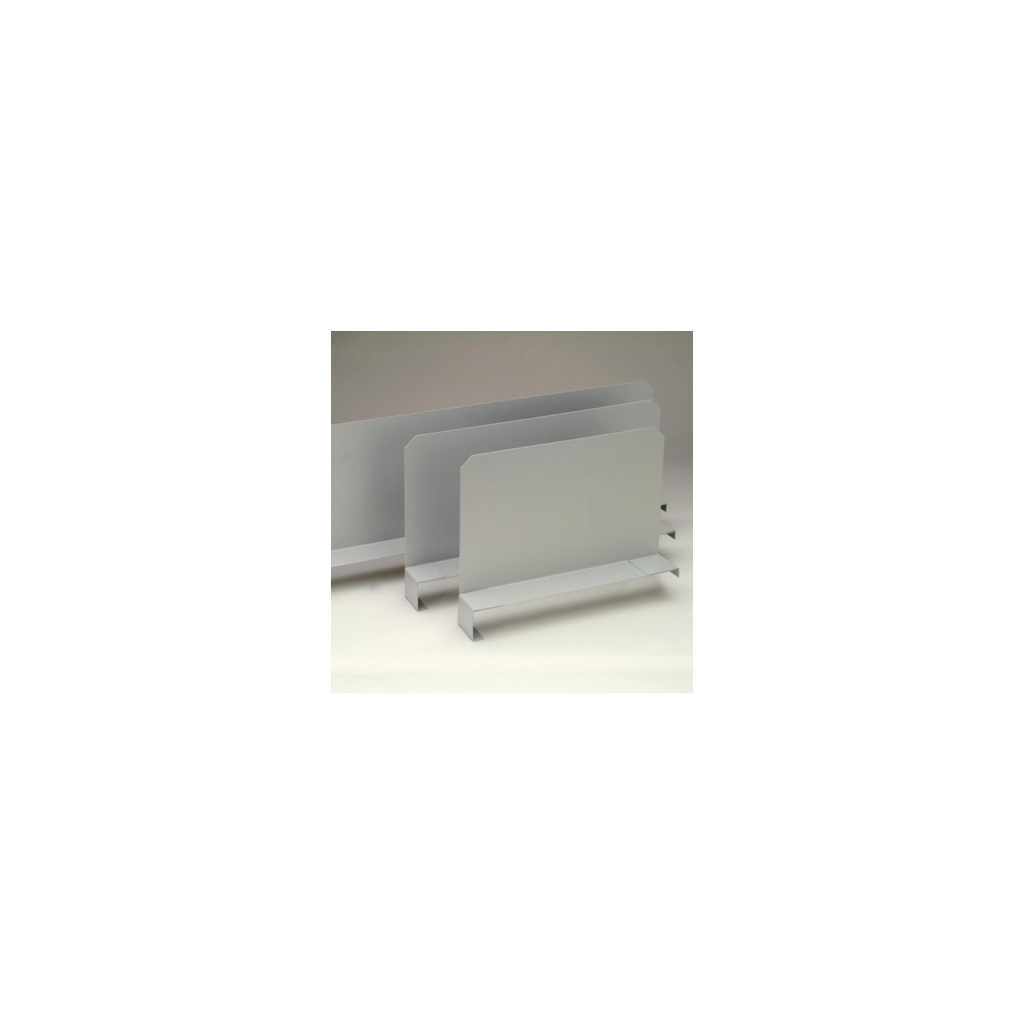 Regalwerk BERT-Fachteiler für Stahlfachböden 600 mm tief mit 40mm Abkantung, Höhe 200 mm (B3-30410-E)