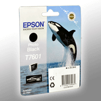 Epson Tinte C13T760140 foto schwarz T7601