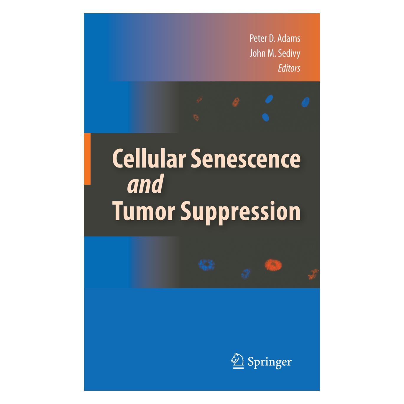 Springer Cellular Senescence and Tumor Suppression (Englisch, Softcover, John M. Sedivy, Peter D. Adams) (55580147)