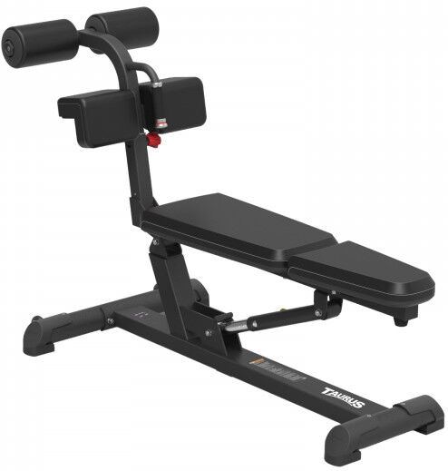 Taurus Elite Adjustable Ab Bench