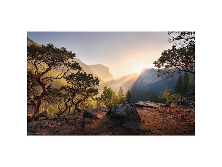 FOTOTAPETE YOSEMITES SECRET