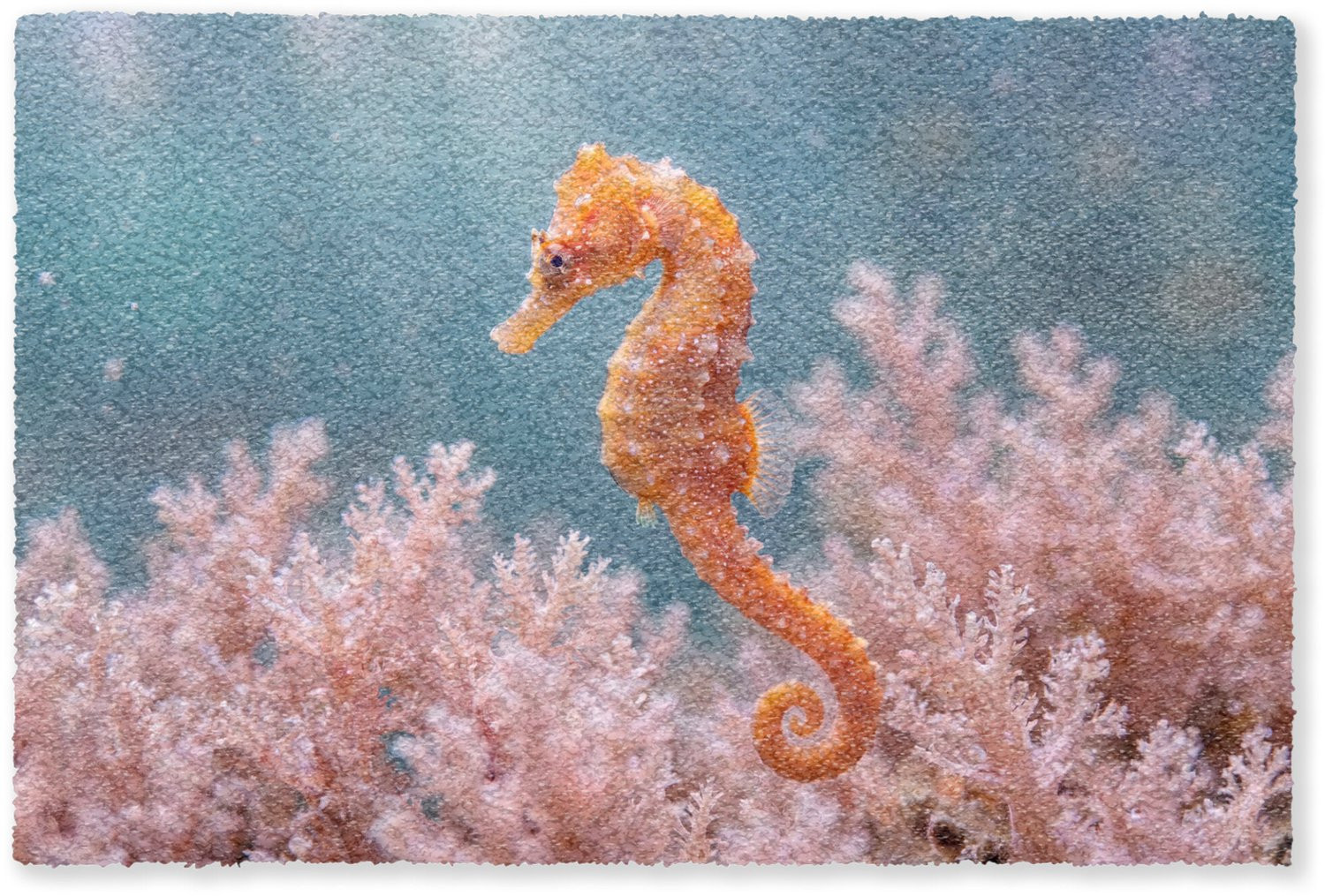 Deurmat Vis Koraal Oceaan Macro Oranje - 90 x 60 cm