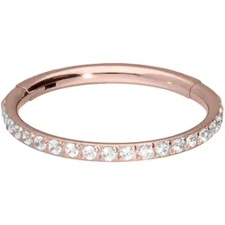 Titan Segmentring Clicker EINGEFASSTE KRISTALLE