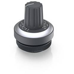 RAFI Potentiometer-Antrieb Schiefer-Grau 1 St. 1.30.258.001/0700