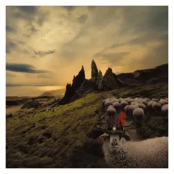Cherry Red, Schallplatten, Sheeple - Vinyl Edition (Franck Carducci)