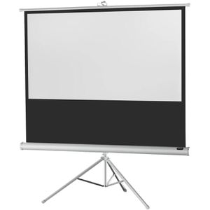 Celexon Beamer-Leinwand Economy White Edition, 99 Zoll, 219 x 123 cm, Format 16:9, Stativleinwand