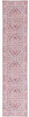 SAFAVIEH Serapi Machine Washable Ivan Shabby Chic Distressed Rug