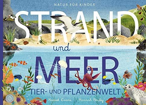Harriet Evans - Natur für Kinder - STRAND und MEER: Tier- und Pflanzenwelt (am und im Wasser) - Preis vom 13.10.2026 19:28:25 h