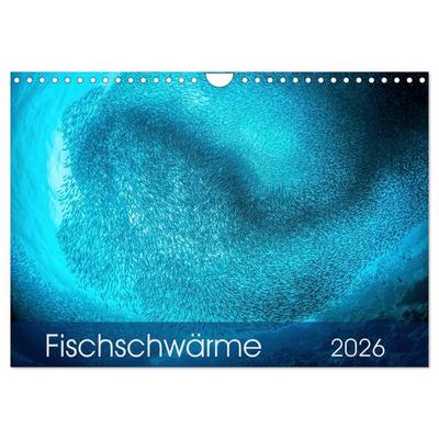 Fischschwärme (Wandkalender 2026 DIN A4 quer), CALVENDO Monatskalender