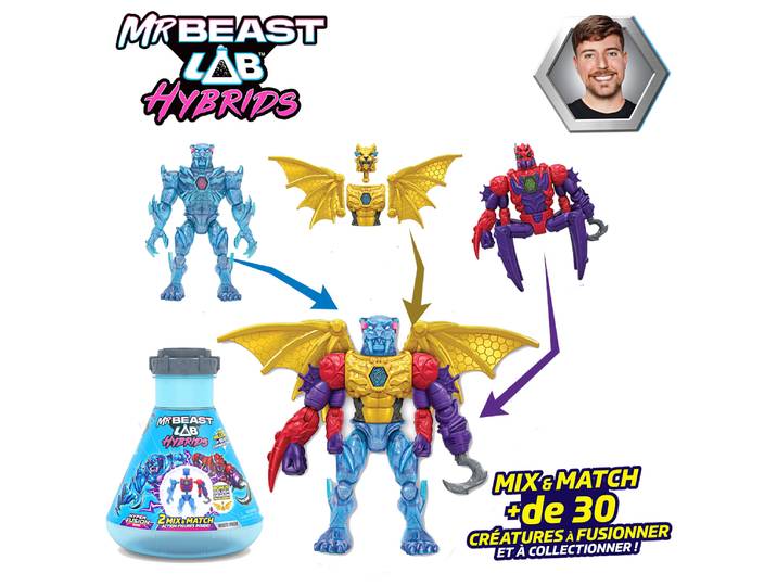 PACK DE 2 HYBRIDS - ASST B - MRBEAST LAB