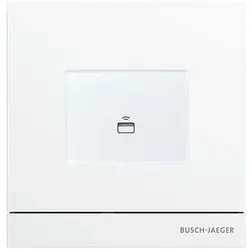 Busch-Jaeger Zutrittskontrolle außen 83100/72-664