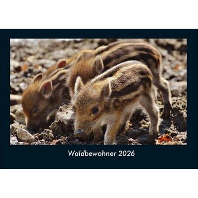 Waldbewohner 2026 Fotokalender DIN A4